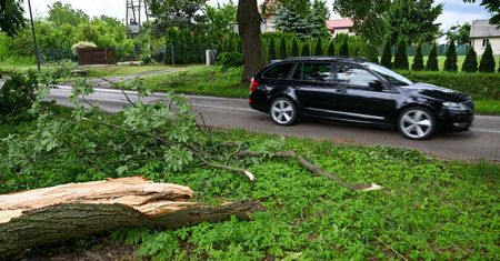 Połamane drzewa spadły na auta. Ranni 11-latek i 18-latka