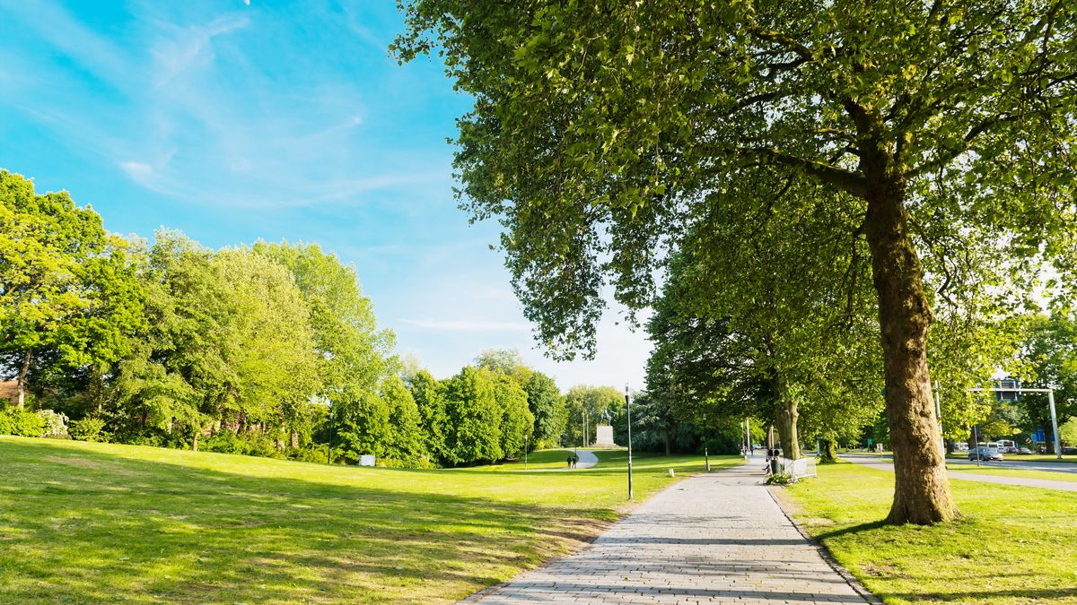 Pogoda w poniedziałek będzie pogodna
