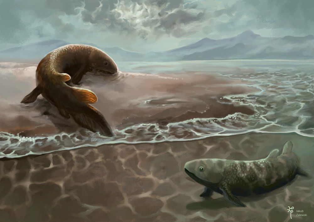 To w Polsce kręgowce wyszły na ląd? Przełomowe odkrycie naukowców