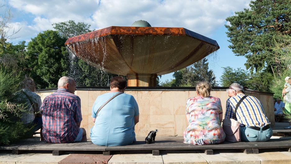 Ile kosztuje przejście alejką obok tężni solakowej w Ciechocinku?