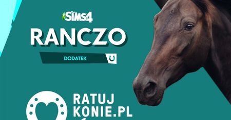 Ważna akcja Electronic Arts. Kup skarpety z The Sims 4, by pomóc koniom