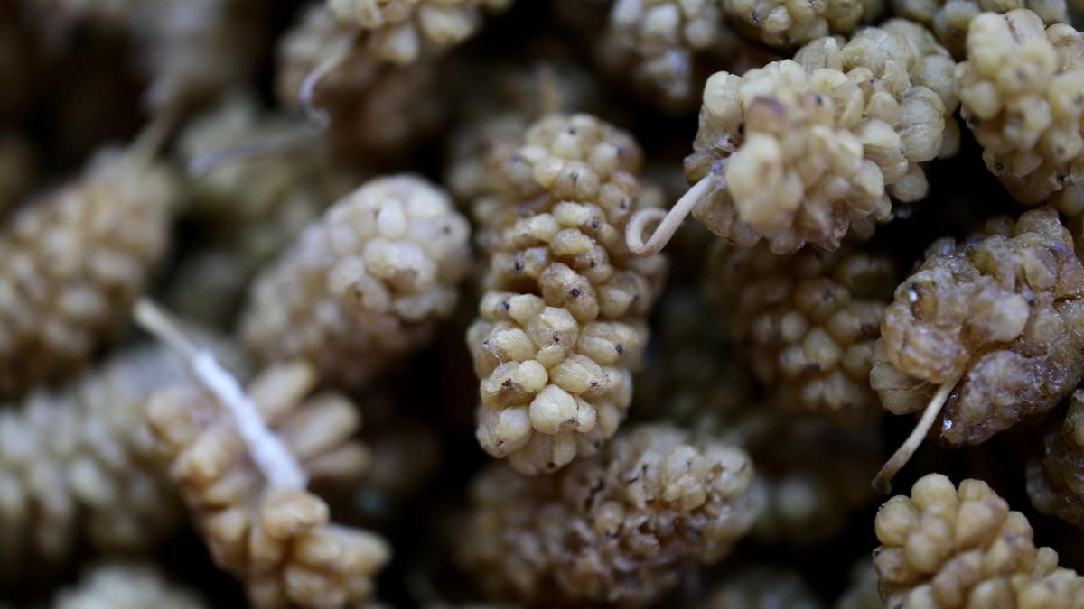 To zaskakujące, jak wiele pożytecznych cech ma ta niedoceniona roślina