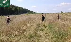 Koszenie traw w środku lasu? Leśnicy wyjaśniają