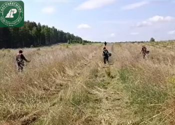 Koszenie traw w środku lasu? Leśnicy wyjaśniają