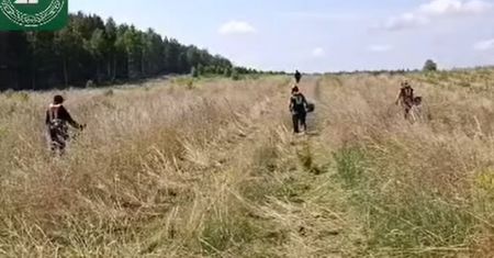 Koszenie traw w środku lasu? Leśnicy wyjaśniają