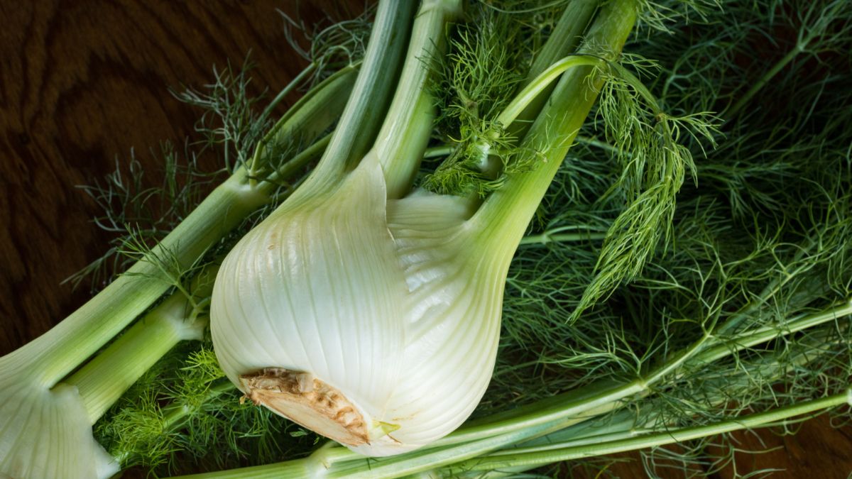 Koper włoski skrywa ogromny potencjał prozdrowotny