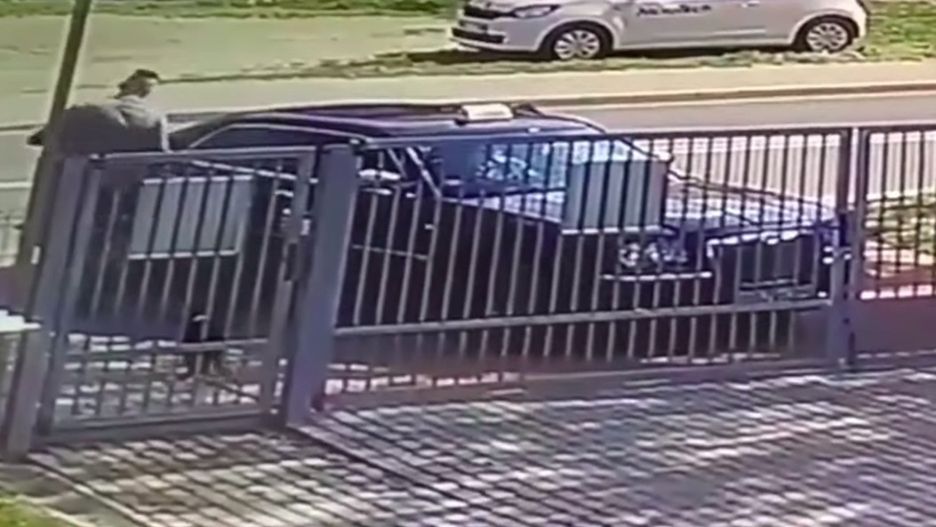 Przywiązali psa do bramy schroniska. Gdy sprawa zrobiła się głośna, poprosili o jego zwrot
