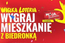 grafika