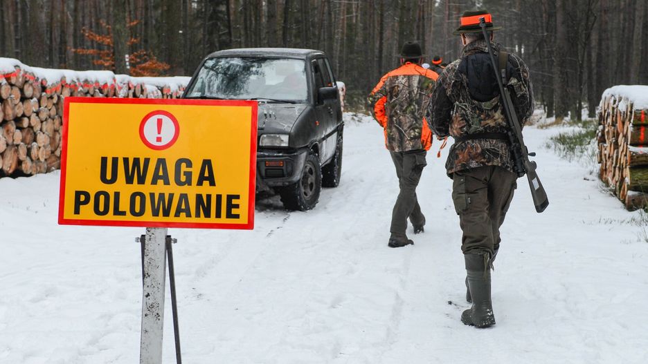 Koronawirus uderzył w myśliwych. Nieoczekiwane widmo bankructwa (zdj. ilustracyjne)