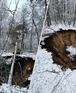 Runęły aż drzewa. Zapadła się ziemia, wielki lej