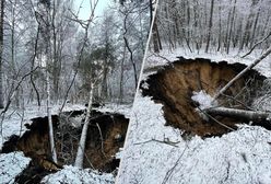 Runęły aż drzewa. Zapadła się ziemia, wielki lej