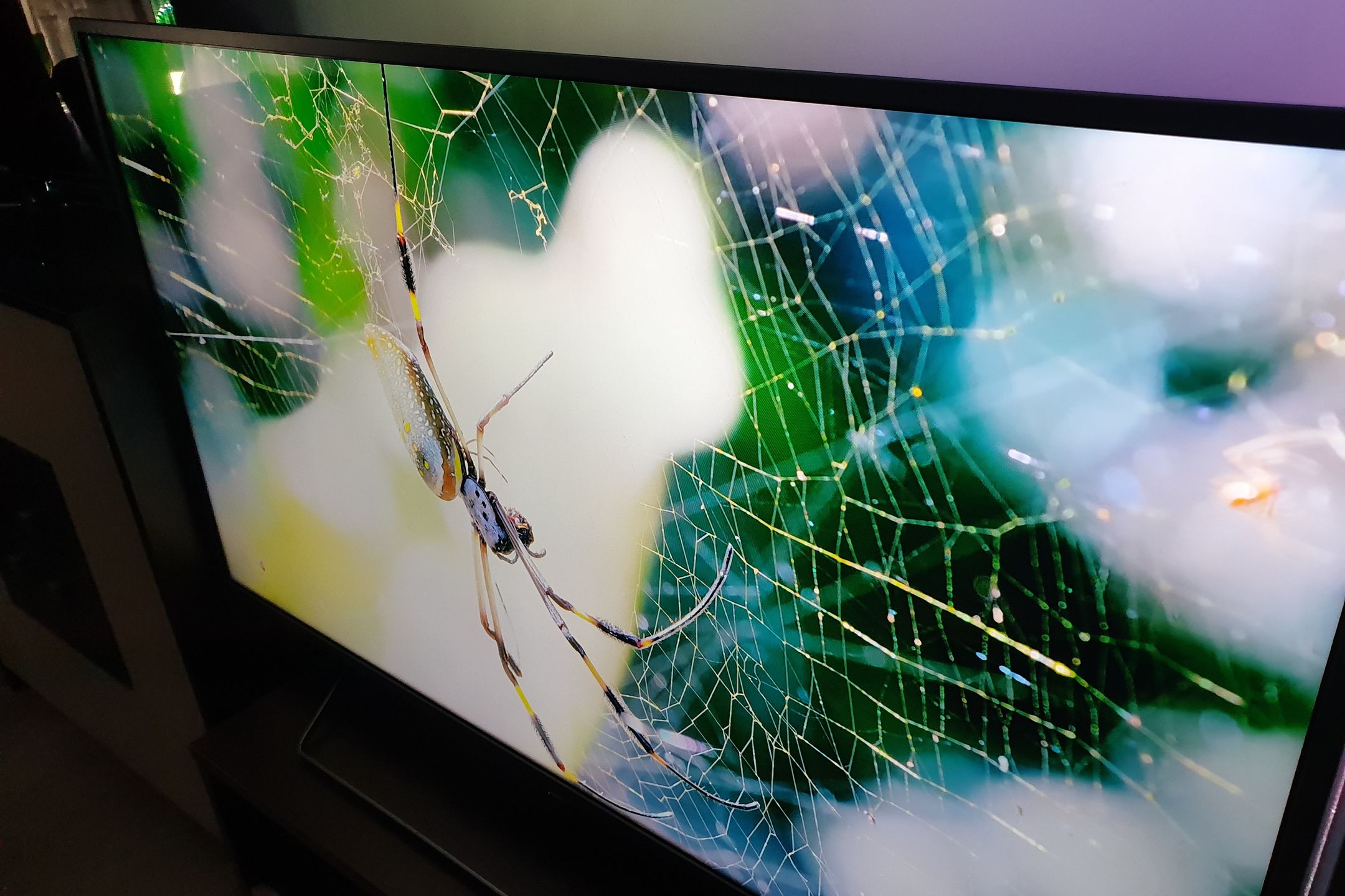 Philips 55PUS7303 – test dużego telewizora z efektownym Ambilight i Android TV 4