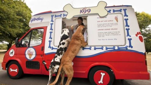 Mobilna lodziarnia dla psów 1