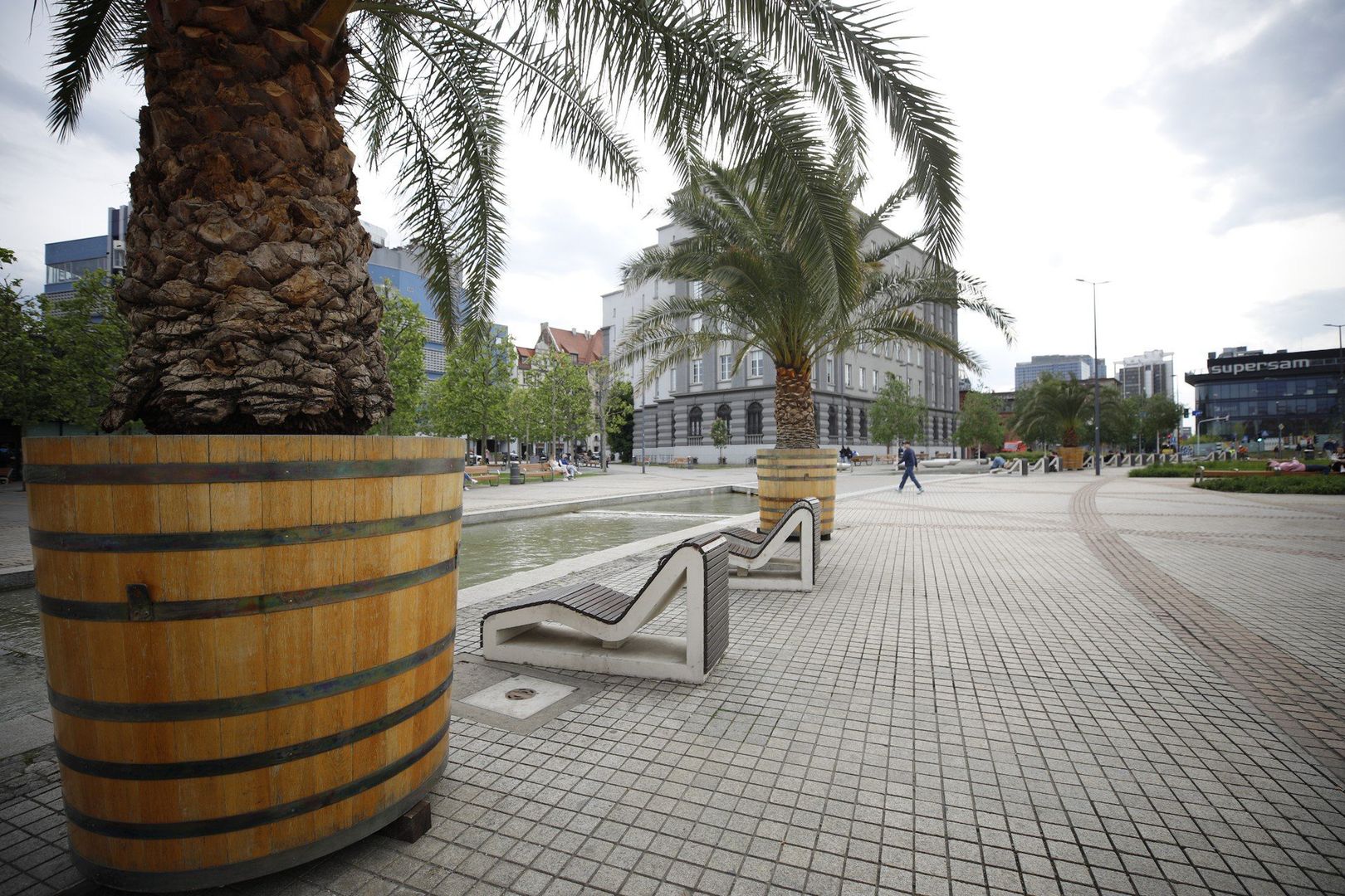 W centrum Katowic znów zrobiło się tropikalnie. Palmy ustawione przy Rynku zwiastują wiosenno-letni sezon