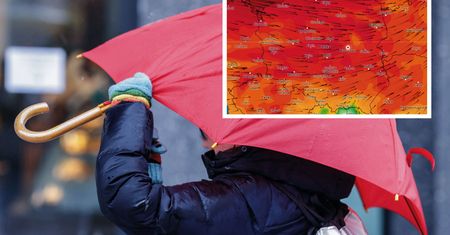 Pogoda. Połamane drzewa i awarie prądu. IMGW ostrzega: groźnie w weekend