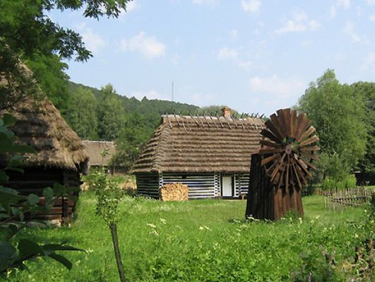 Obraz