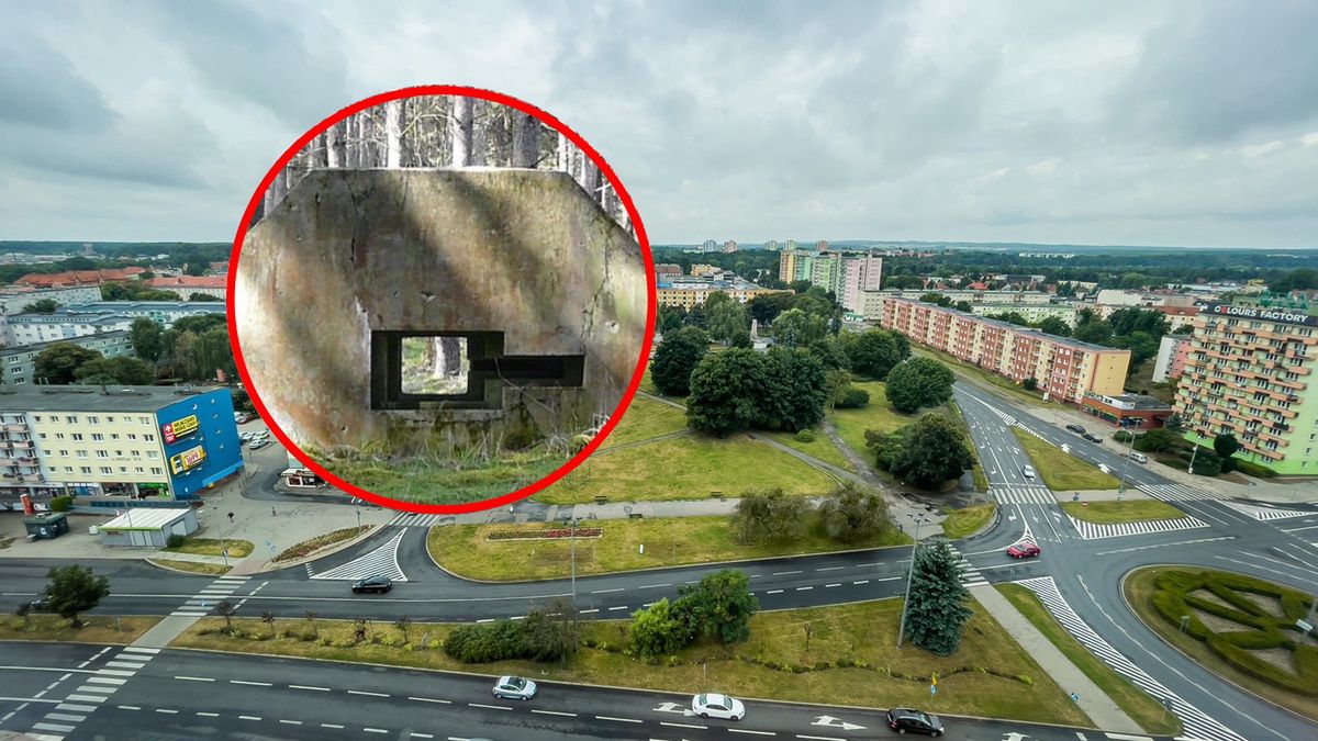Tajemniczy fragment schronu "Heinrich" odnaleziony po latach