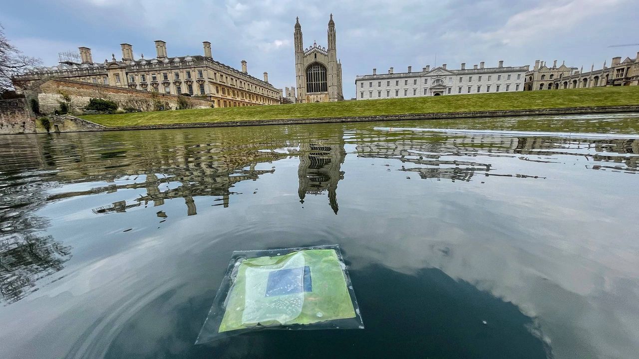 A leaf that produces fuel. A British project.