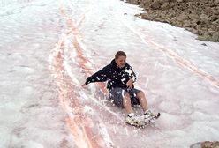 Spadł "arbuzowy śnieg". Malownicze pejzaże w Utah