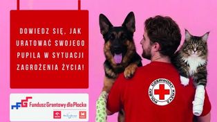 Zadławienie, uraz, zatrzymanie oddechu. W Płocku można nauczyć się ratować zwierzęta