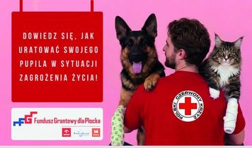 Zadławienie, uraz, zatrzymanie oddechu. W Płocku można nauczyć się ratować zwierzęta
