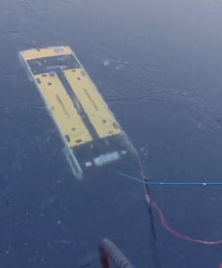 Wrak statku odnaleziony na Antarktydzie po 107 latach. Historyk: to było jak cud