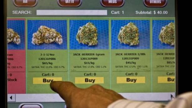 Konopie wolne jak nigdy wcześniej. Moneta za blanta? 1