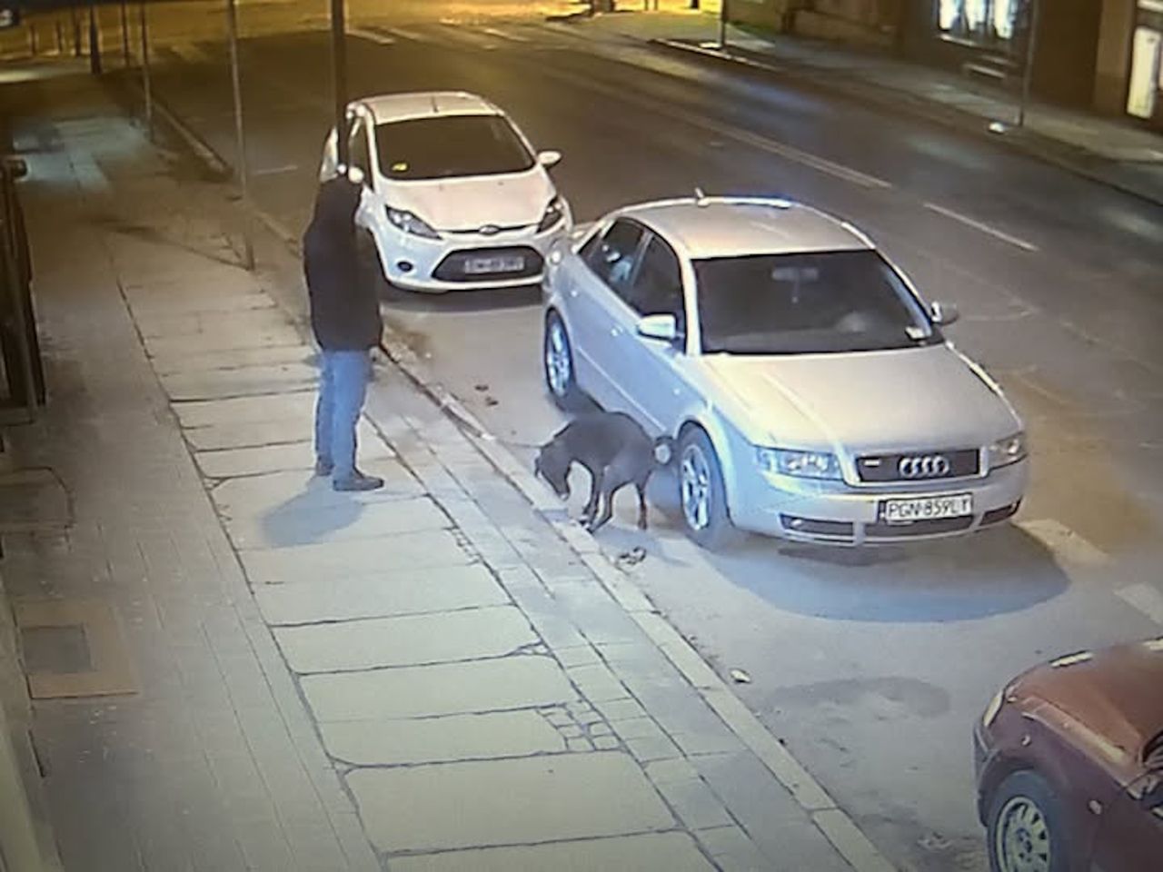 Wyszedł z psem. Nie wiedział, że jest nagrywany. "Maksymalny mandat"