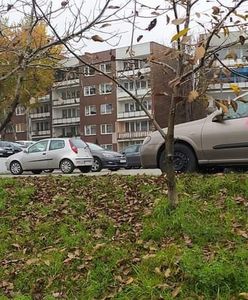Zagłębie. Akcja i dewastacja, prezydent Sosnowca apeluje ”Nie dajcie się prowokować”