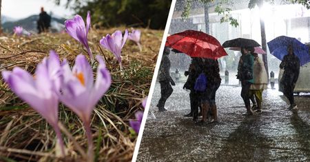 Wiosenna aura w odwrocie? Nieciekawe prognozy na Dzień Mężczyzny