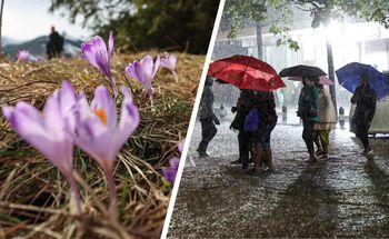 Wiosenna aura w odwrocie? Nieciekawe prognozy na Dzień Mężczyzny