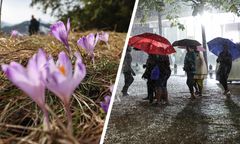 Wiosenna aura w odwrocie? Nieciekawe prognozy na Dzień Mężczyzny