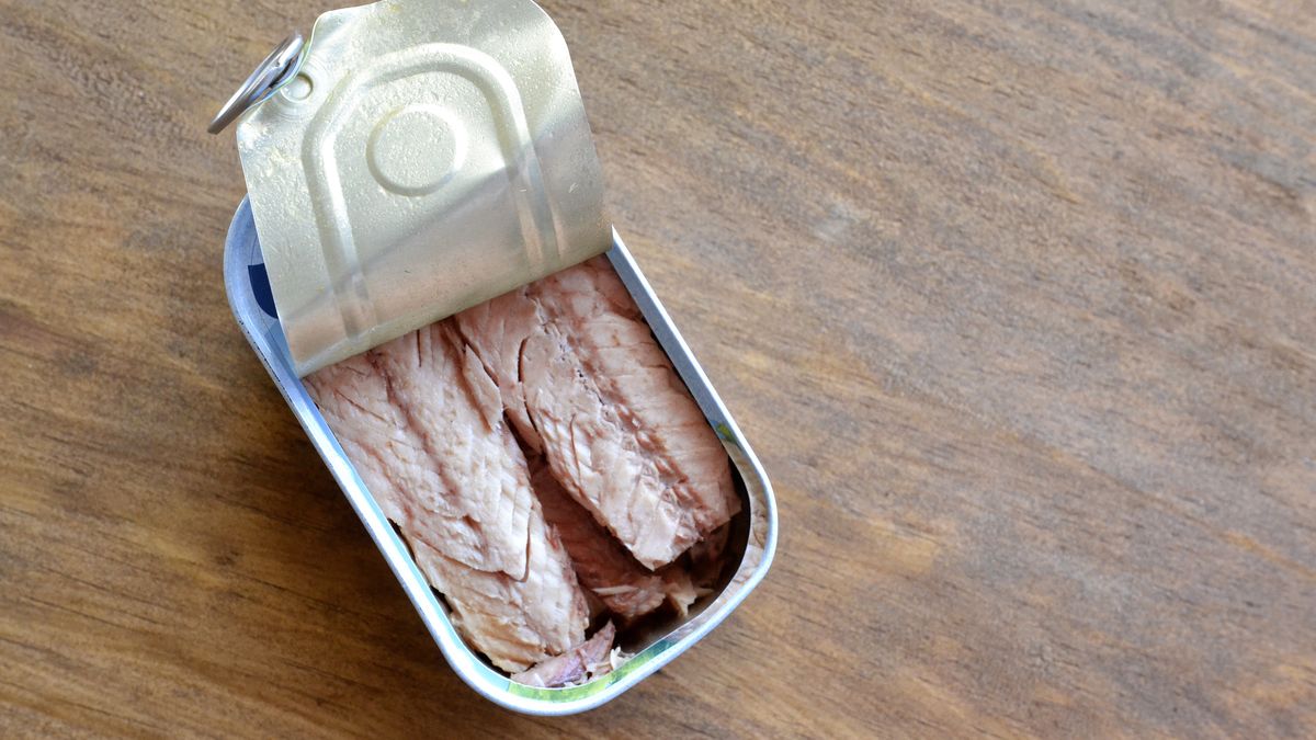 Gdzie wyrzucić puszkę po rybie?