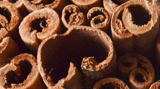 Pogromca cukru i tarcza dla wątroby. Wystarczy pół łyżeczki dziennie, by poczuć różnicę