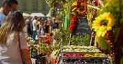 Poszli na festiwal pierogów. Gdy zobaczyli ceny, aż ich zamurowało