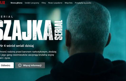 Zaskakujące zachowanie klientów Netfliksa. „Uwidacznia się prawo naturalnego monopolu”