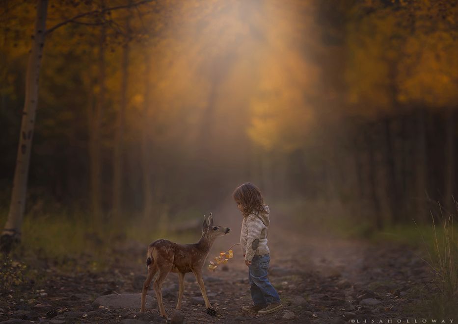 Kolorowa jesień i dziesiątka dzieci sfotografowanych przez matkę 6
