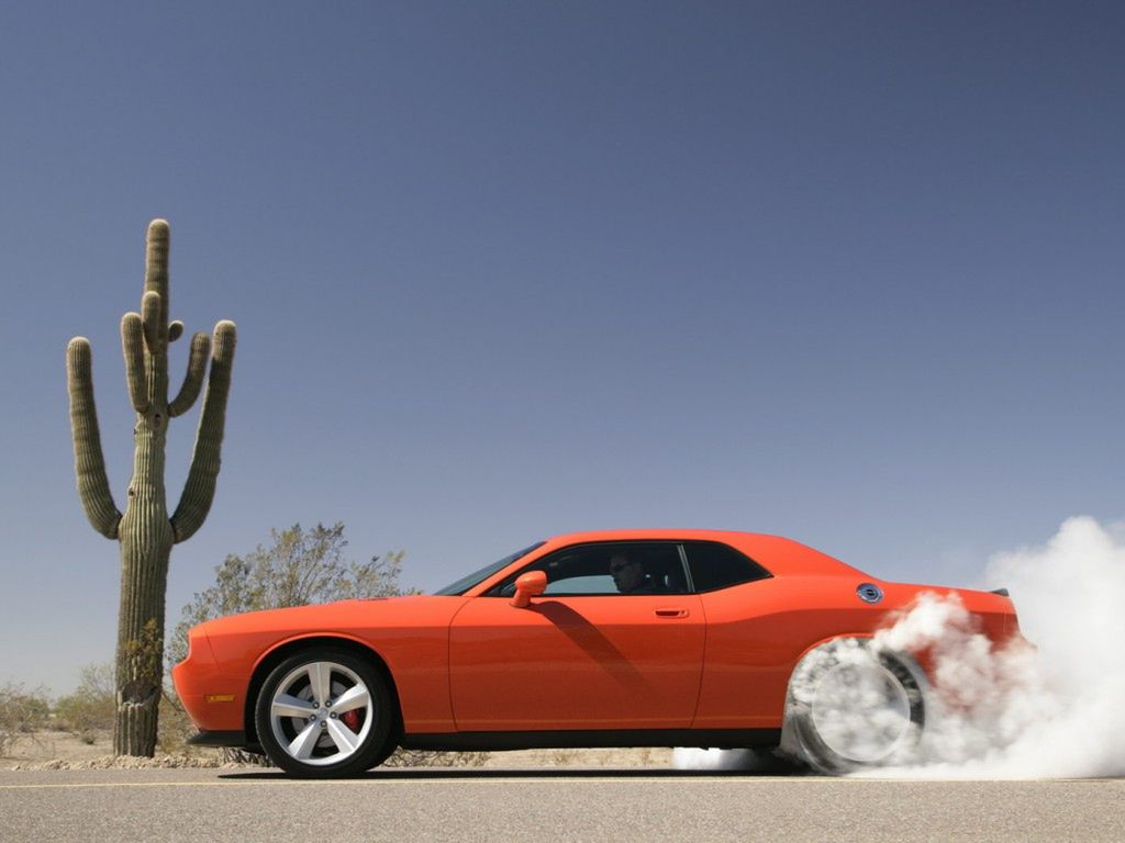 Dodge Challenger SRT8 (fot. fastcars2011.info)