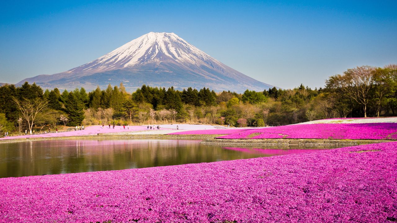 Fuji is the highest mountain in Japan.