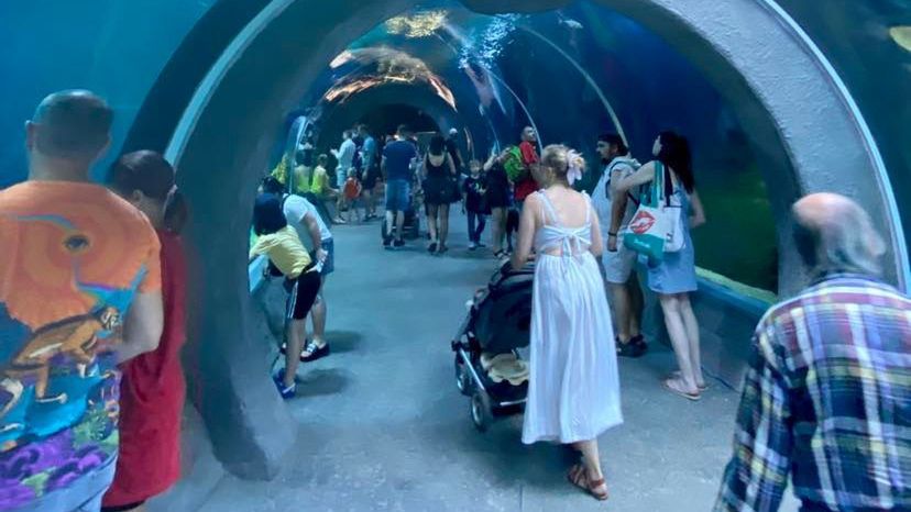 Podwodny tunel to ulubiona atrakcja turystów, którzy odwiedzają Orientarium 