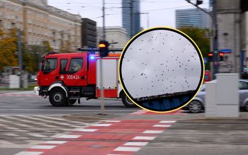 Zdjęcie z Warszawy. Ludzie od razu chwycili za telefon