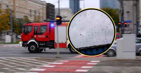Zdjęcie z Warszawy. Ludzie od razu chwycili za telefon