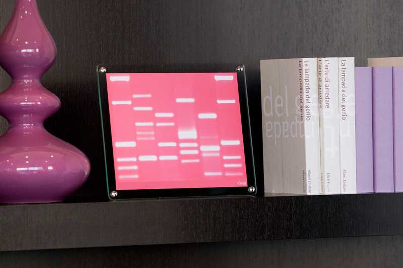 DNA Mini, portret bardzo osobisty 9