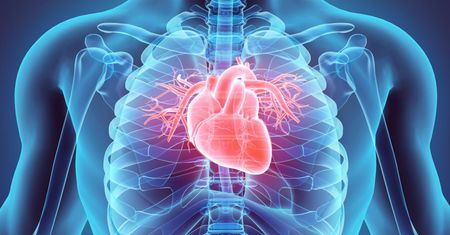 40 lat angioplastyki – najczęściej wykonywanego zabiegu w kardiologii