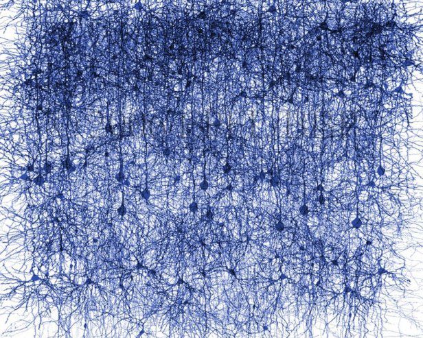 Blue Brain Project. Gdzie i jak budujemy sztuczny mózg? [wideo]