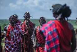 Książętom z Dubaju zachciało się polować na lwy. Dramatyczne skutki zachcianki