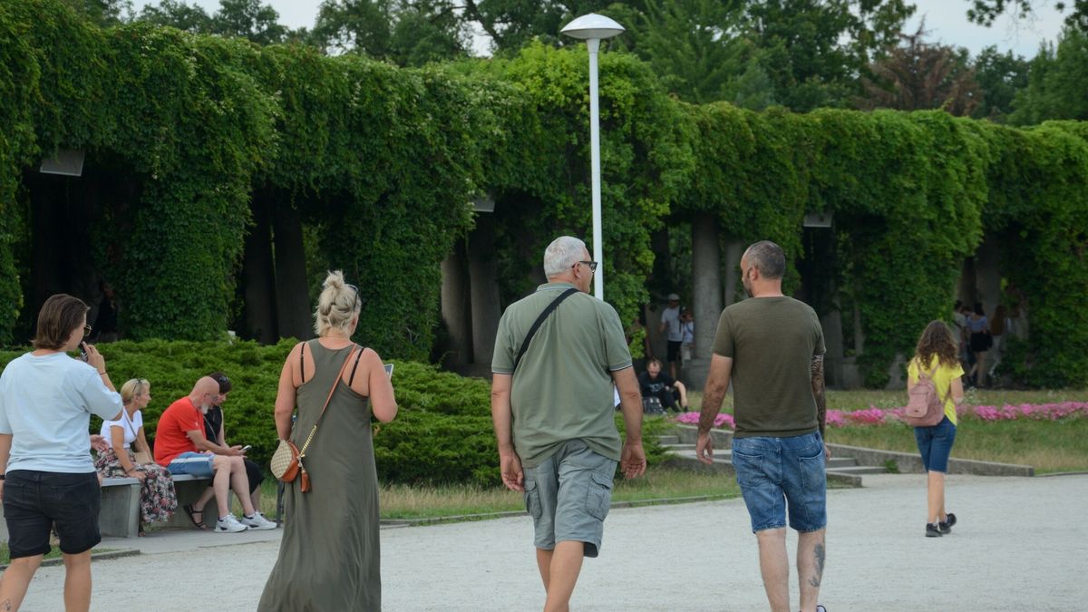 Szybki marsz kluczem do długowieczności? Badania potwierdzają. Zdj. ilustracyjne