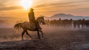 Będzie jak na Dzikim Zachodzie! Cowboy Challenge w Grojcu koło Oświęcimia już w nadchodzący weekend