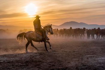 Będzie jak na Dzikim Zachodzie! Cowboy Challenge w Grojcu koło Oświęcimia już w nadchodzący weekend