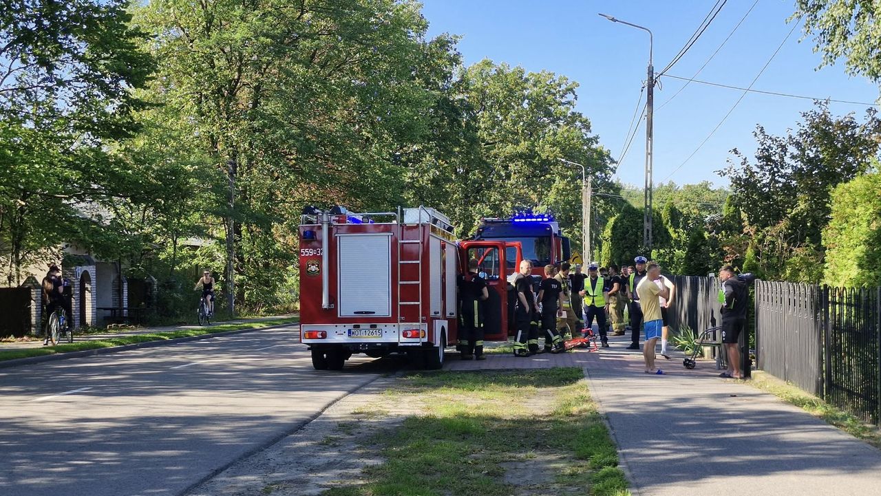 Nietypowy wypadek. Kolarze zderzyli się z dzikami